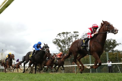 Australian Horse Racing