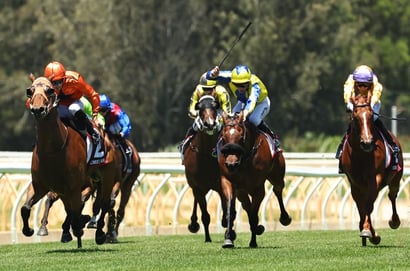Taree Racing Tips for July 21 - Dirty Does It can win, 3rd-up today