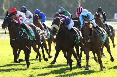 Murwillumbah Racing Tips for August 21 - Rock Empire can go back-to-back