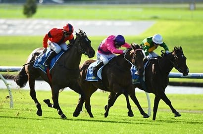 Murray Bridge Racing Tips for July 4 - Big Rooster to win again, in the conditions