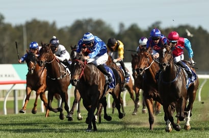 Goulburn Racing Tips for August 3 - Peace Bird is set for back-to-back success