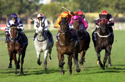 Australian Horse Racing