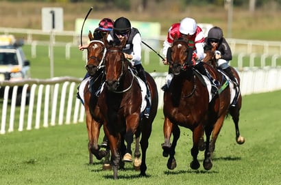 Australian Horse Racing
