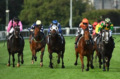 Australian Horse Racing