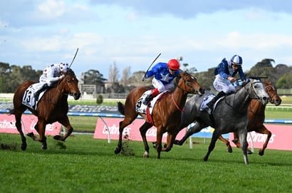 Australian Horse Racing