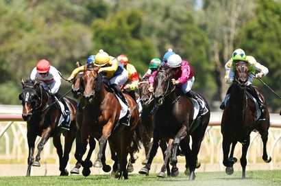 Taree Racing Tips for May 25 - Powerful Tune can go back-to-back today