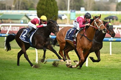 Australian Horse Racing