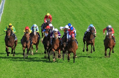Canterbury Racing Tips for May 27 - Louie's Legacy can go one better, 2nd-up
