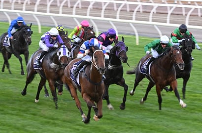 Gawler Racing Tips for May 27 - Southern Monarch is set for 2-straight