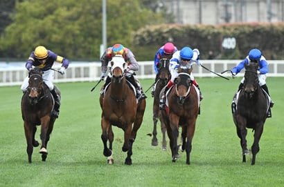 Australian Horse Racing