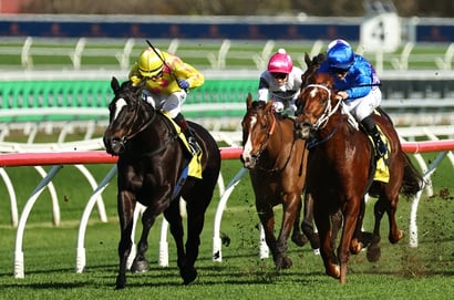Australian Horse Racing