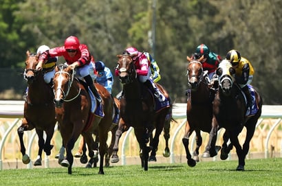 Australian Horse Racing