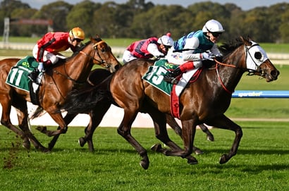 Australian Horse Racing