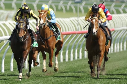 Australian Horse Racing