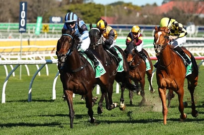 Quirindi Racing Tips for August 4 - He's My Warrior can win, in the conditions