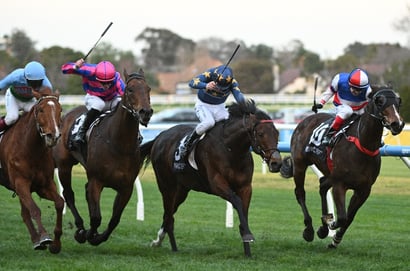 Australian Horse Racing