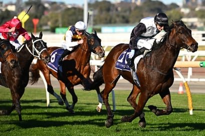 Australian Horse Racing