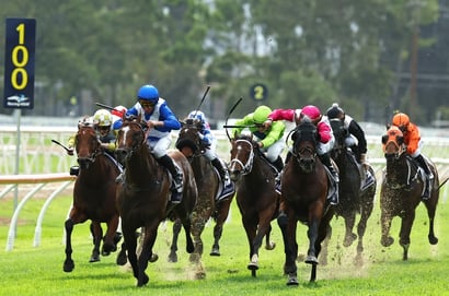 Australian Horse Racing