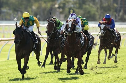 Dubbo Racing Tips for August 10 - Shamedy is ideally placed, 3rd-up today