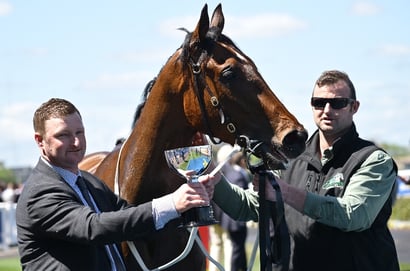 From Bargain Buy to Derby Contender: The Rise of Autumn Mystery