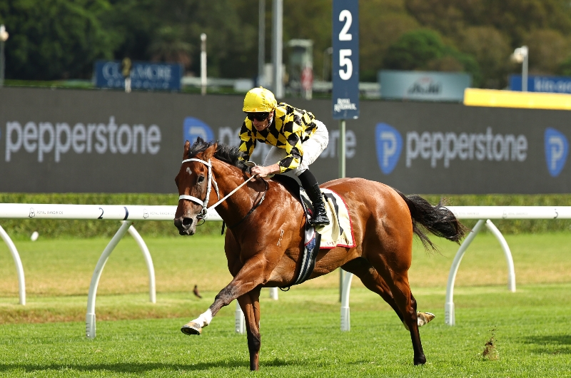 Big Bets Results from February 14