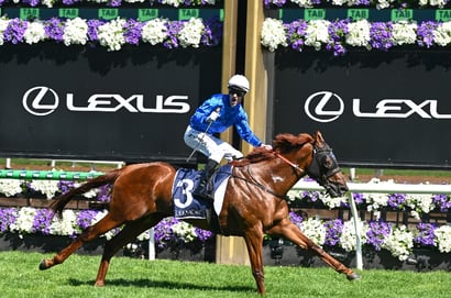 Chasebet betting interface showcasing odds and markets