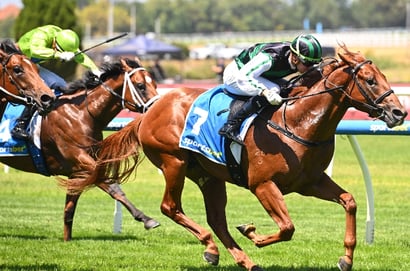 Blue Diamond Stakes 2026 - Barrier Draw & Final Field