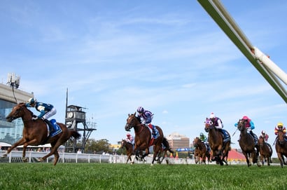 Blue Diamond Stakes Day 2026 - Group 1 Fields & Barrier Draws Set for Caulfield Showpiece