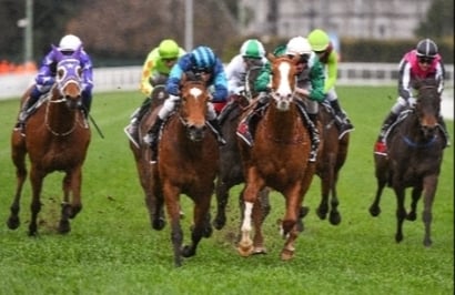 Bairnsdale Tips for 21.11.2023