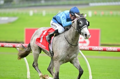 Bairnsdale Tips for 23.03.2025