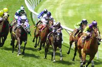 Balaklava Tips for 04.06.2025