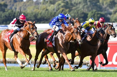 Balaklava tips - 14/10