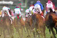 Balaklava tips for 09.07.2025