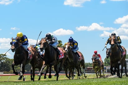 Balaklava Betting Tips for September 16, 2026 - The Magistrate Lays Down the Law