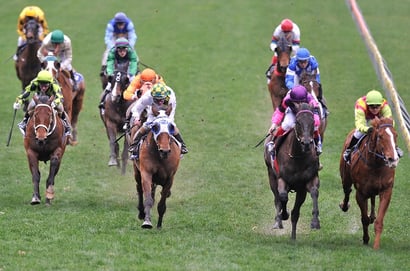 Balaklava tips for 20.05.2026