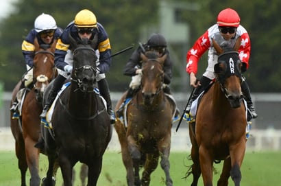 Ballarat Racing Tips for February 22 – Nimbustwothousand primed for a ...