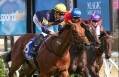 Ballarat Synthetic Betting Tips