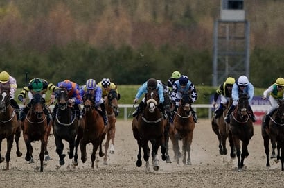 Ballarat Synthetic Tips