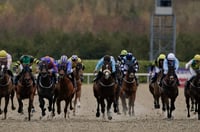 Ballarat Synthetic Tips