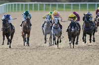 Ballarat Synthetic Tips for 01.07.2025