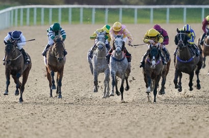 Ballarat Synthetic Tips for 01.07.2025