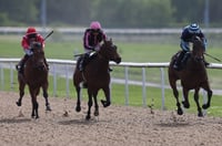 Ballarat Synthetic Tips for 04.07.2025