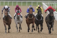 Ballarat Synthetic tips for 22.07.2025