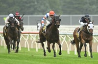 Ballarat Tips for 10.07.2025