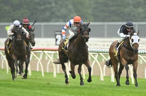 Ballarat Tips for 10.07.2025