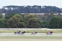 Ballarat Tips for 11.06.2025