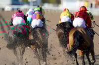 Ballarat Tips for 15.07.2025