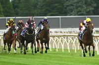 Ballarat Tips for 29.06.2025