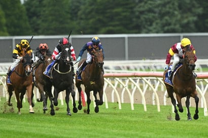 Ballarat Tips for 29.06.2025