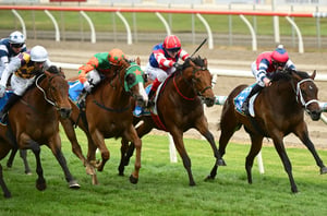 Loading